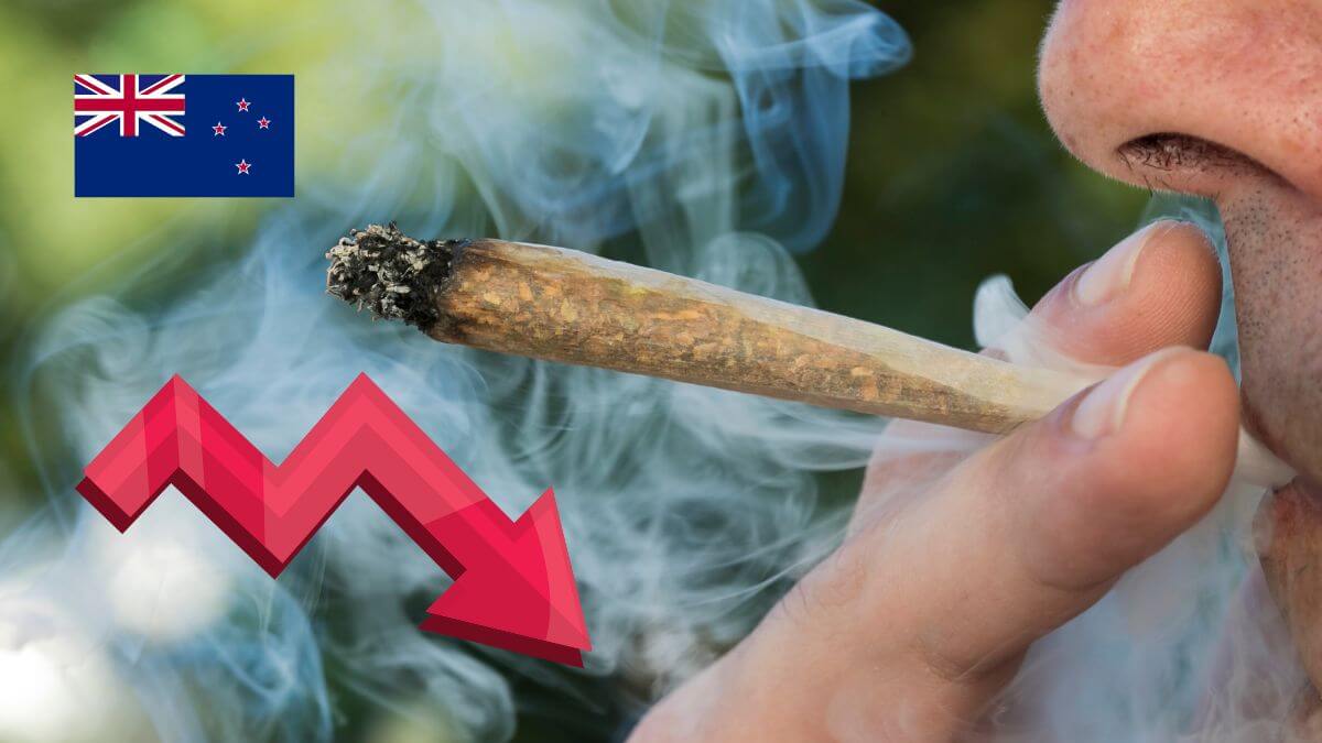 Marijuana Smoking Decline NZ