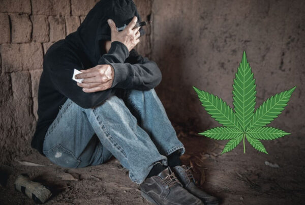 Drug legalisation creates youth drug crisis in America