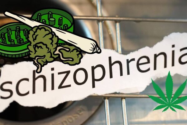 risk of schizophrenia from cannabis