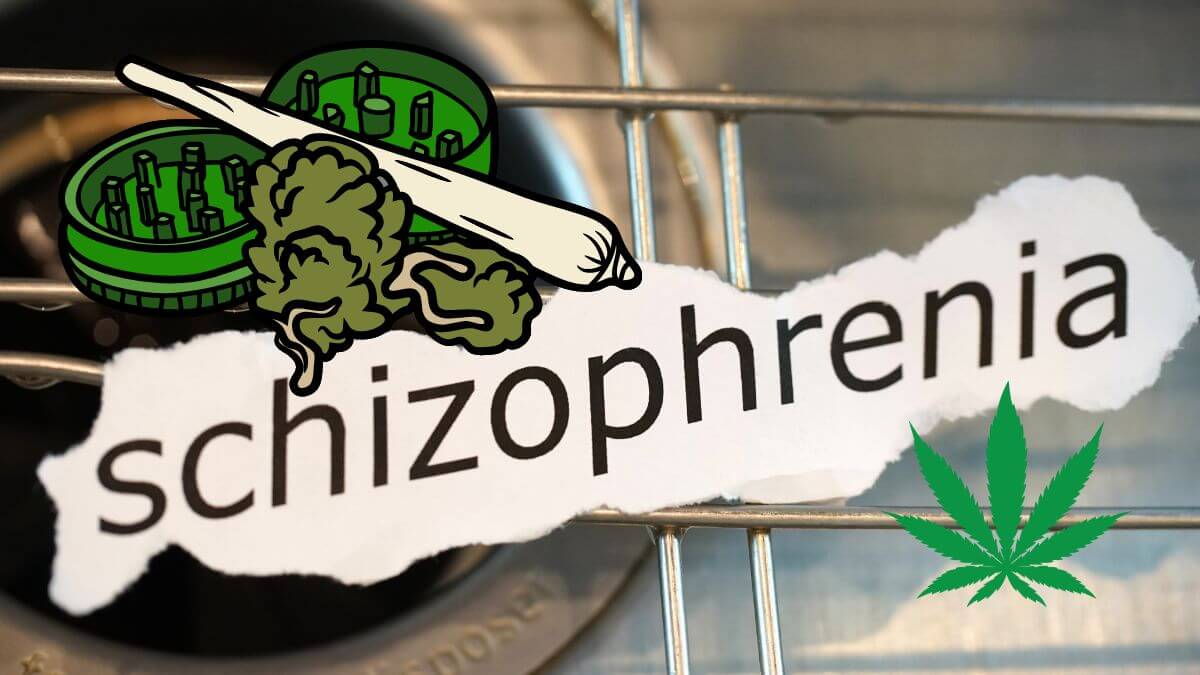 risk of schizophrenia from cannabis