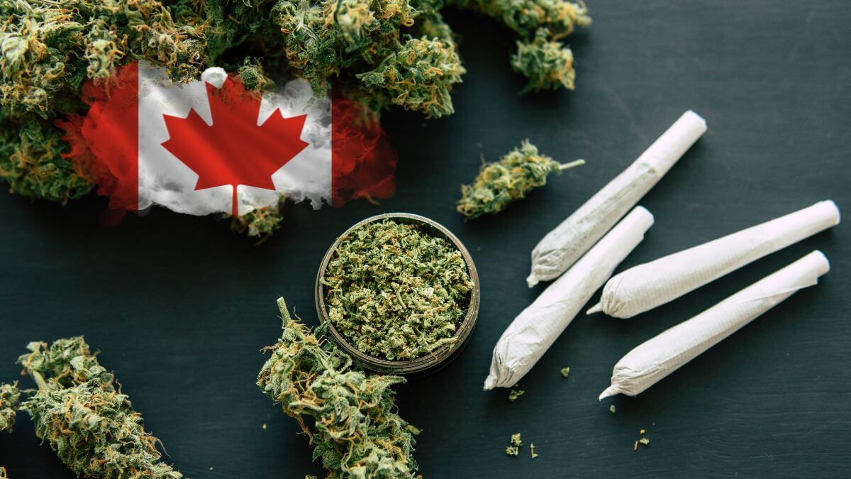 Canada - Increased health issues after 5 years of cannabis legalisation