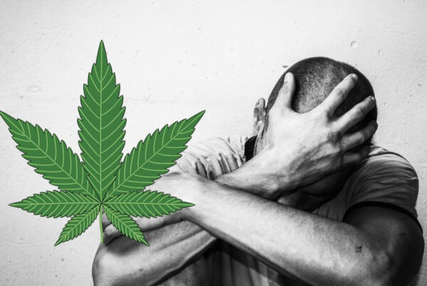 Cannabis connection to suicide attempts