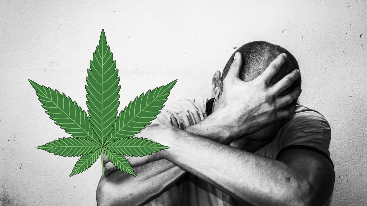 Cannabis connection to suicide attempts
