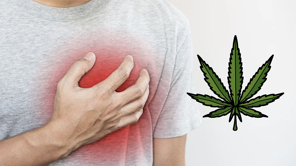 Cannabis’ link to heart failure risk - Study