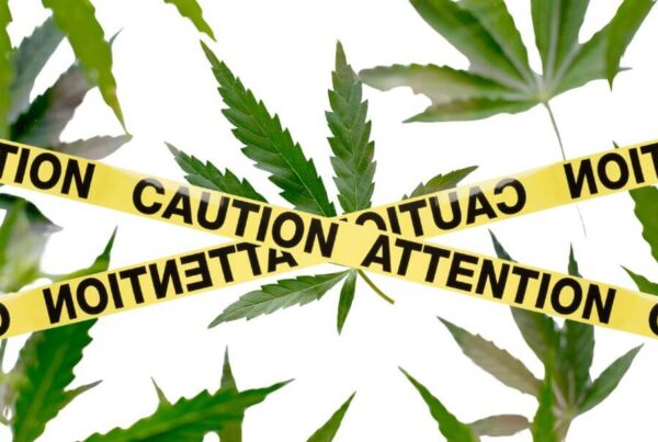 NZ doctor raises red flag on cannabis use with immunotherapies