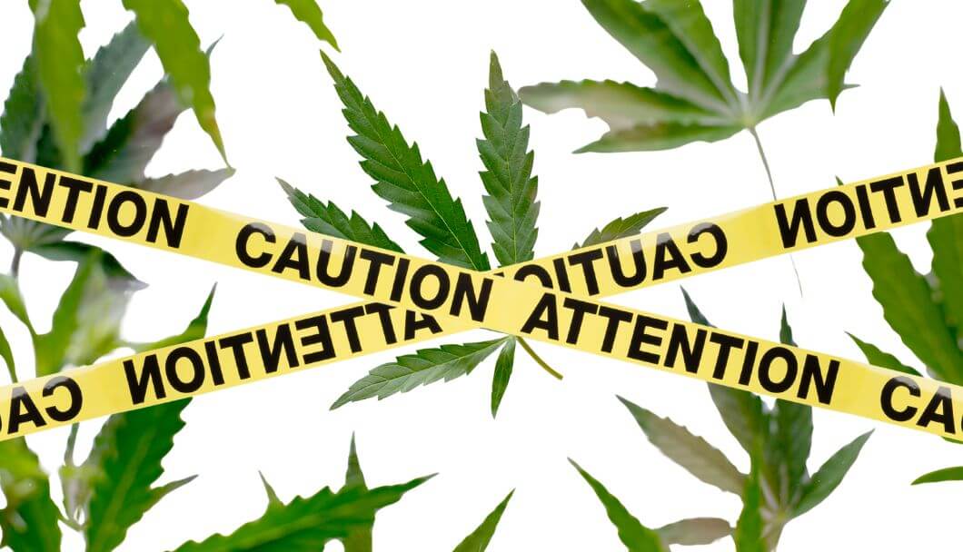 NZ doctor raises red flag on cannabis use with immunotherapies