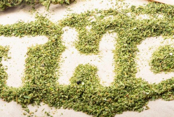 inevitability of cannabis is cracking